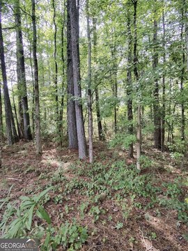 Land, Winston, GA