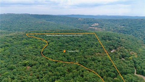 Timbered Recreational Land Tract
