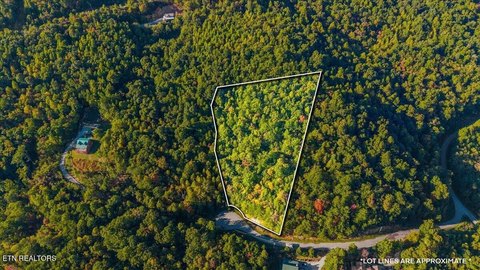 Lots & Acreage, New Tazewell, TN