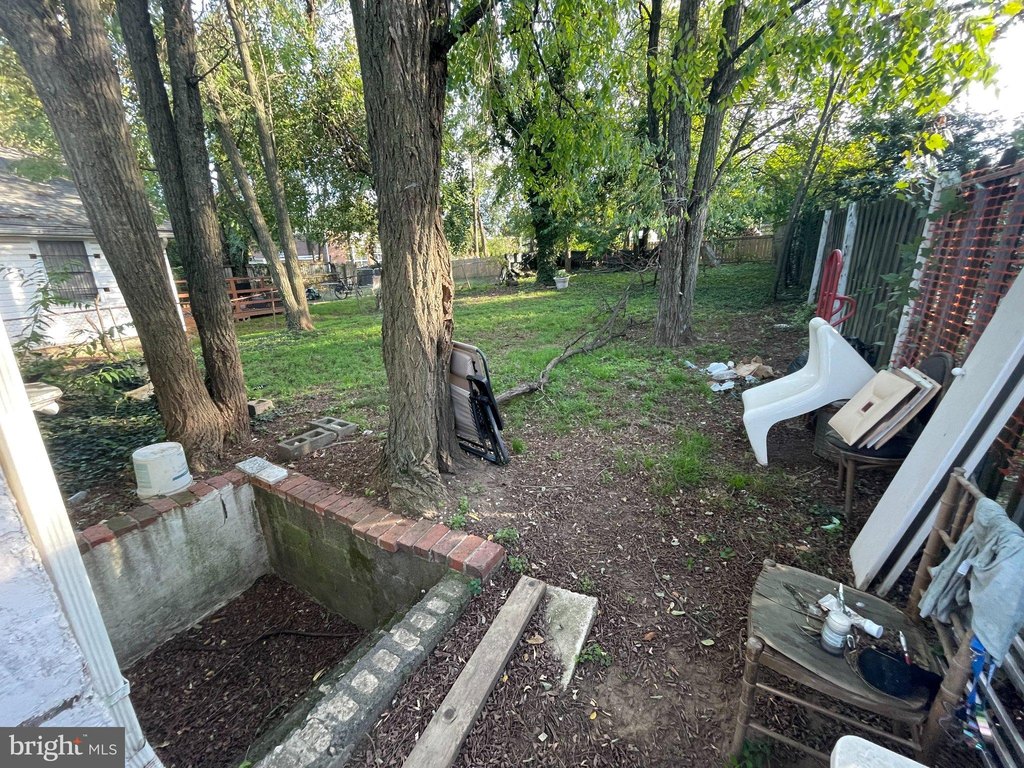 Picture 4