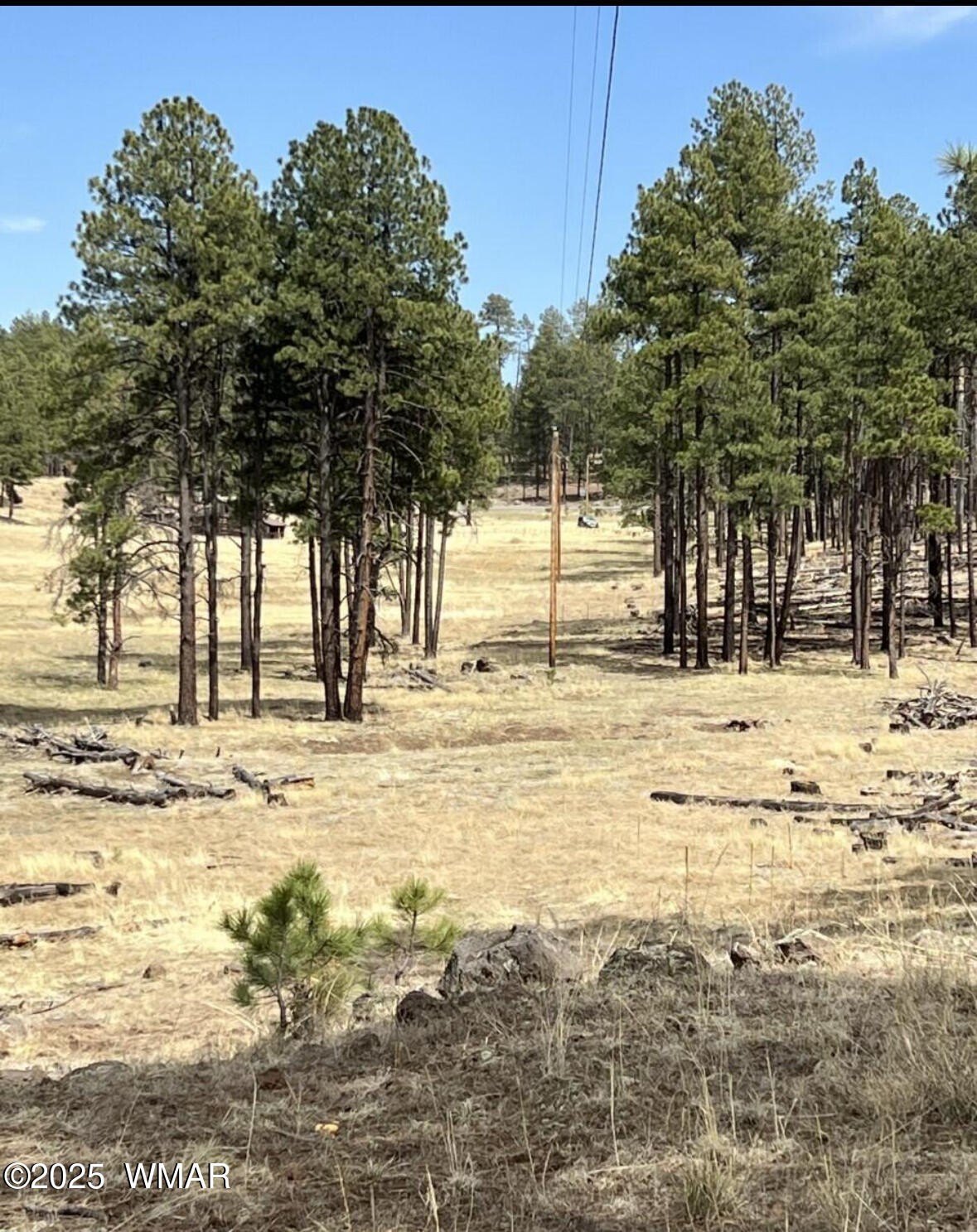 9.51 Acres in Alpine, AZ