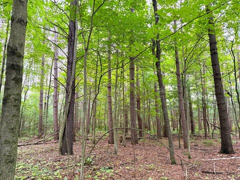 Land, Clintonville, WI