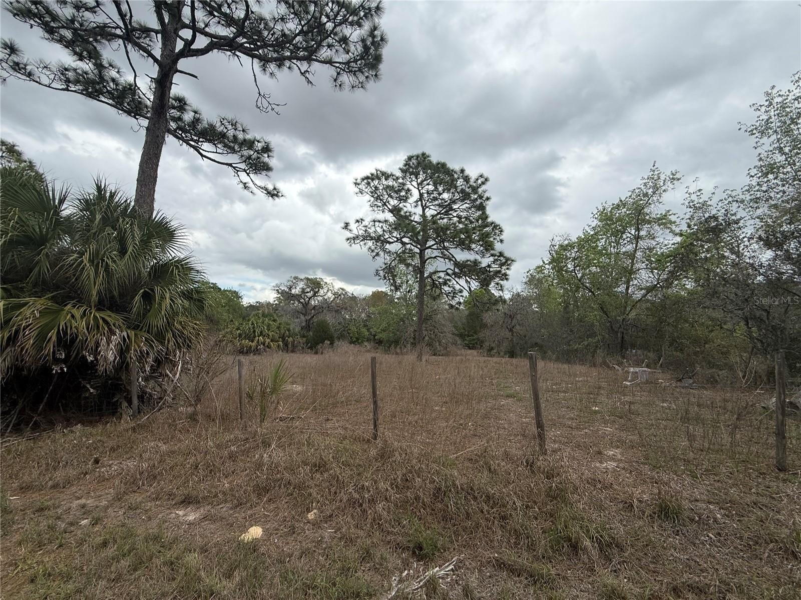 Spring Hill Acreage Opportunity