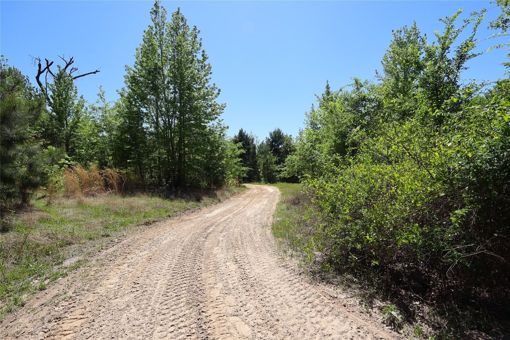 Picture 26