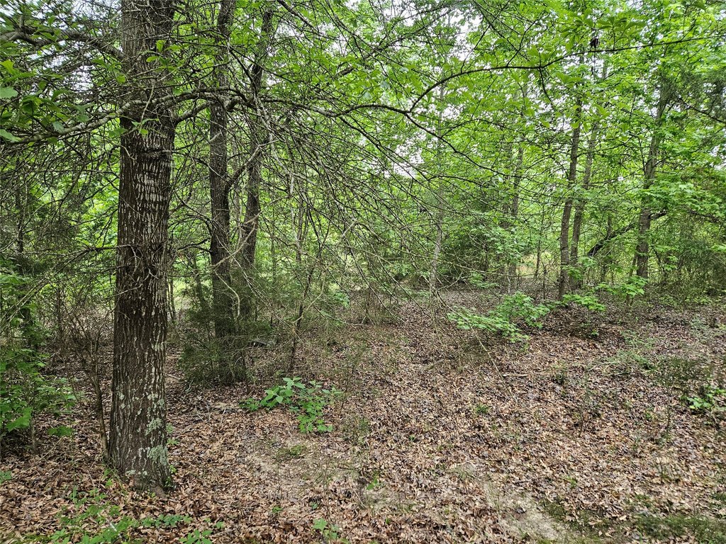 Picture 16
