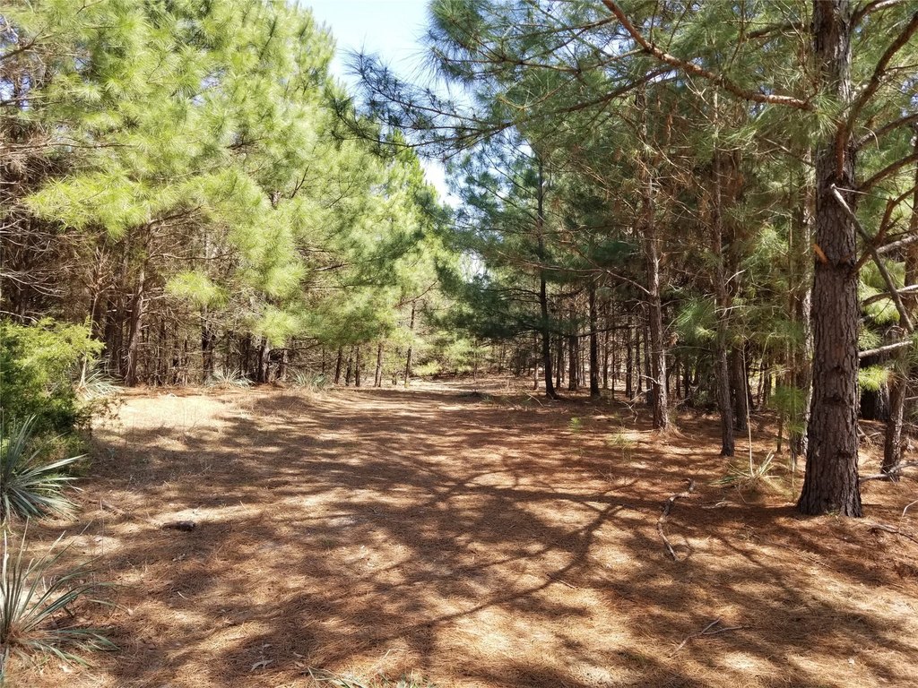 Picture 3