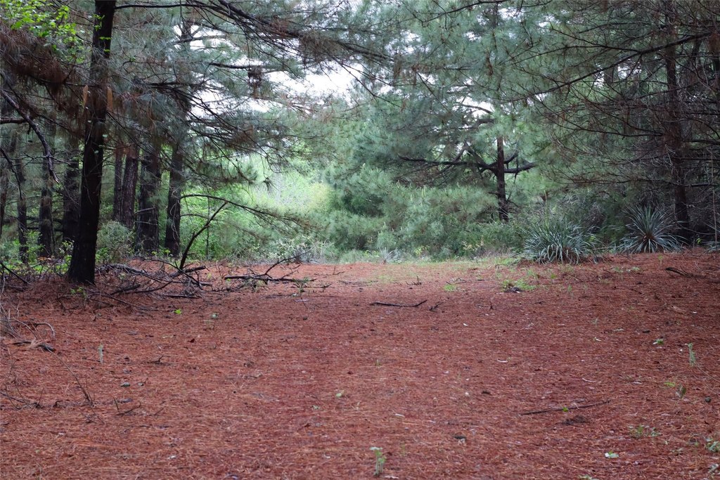 Picture 17