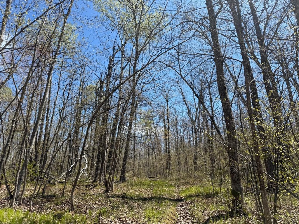 Picture 36