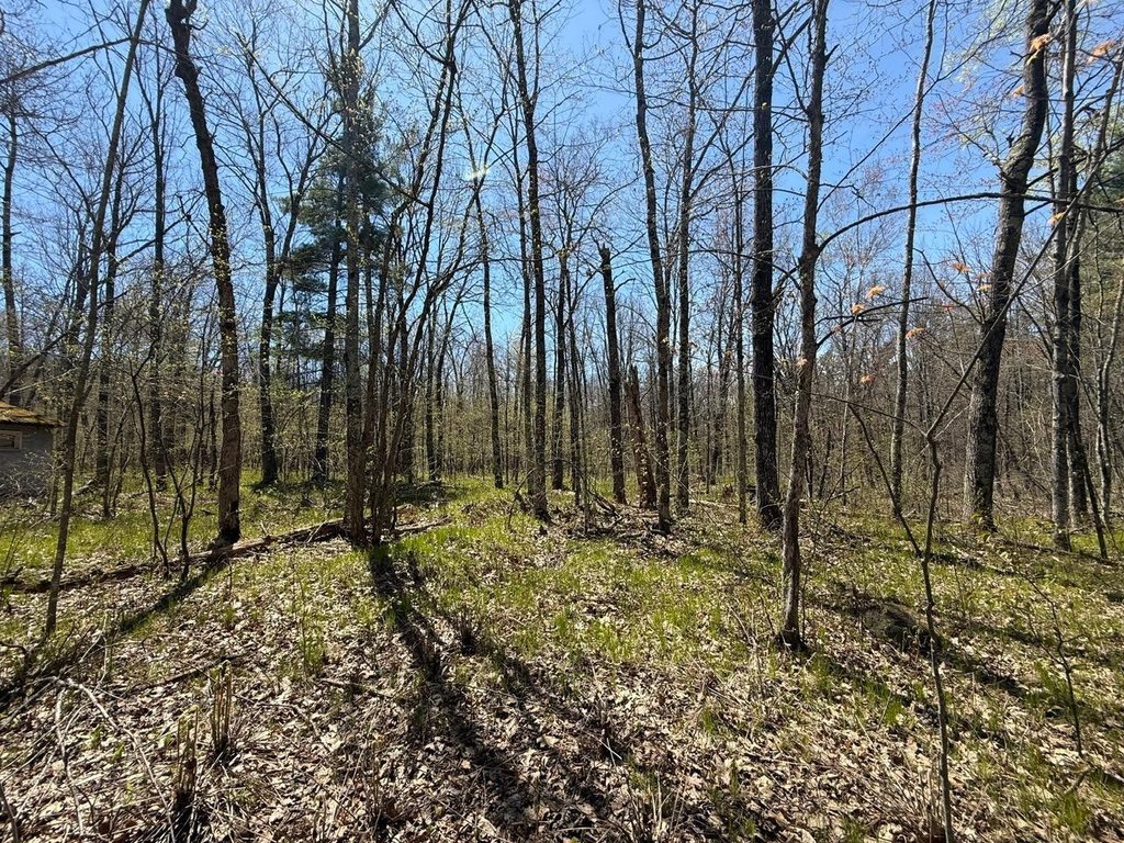 Picture 19