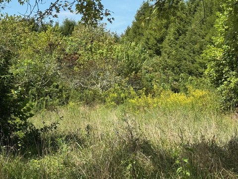 2.4 Acres of Rural Land