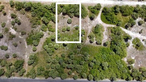 Vacant Land in Palm Bay