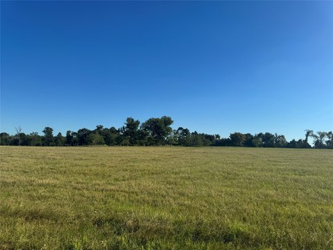 Undeveloped Farmland Tract with Hay