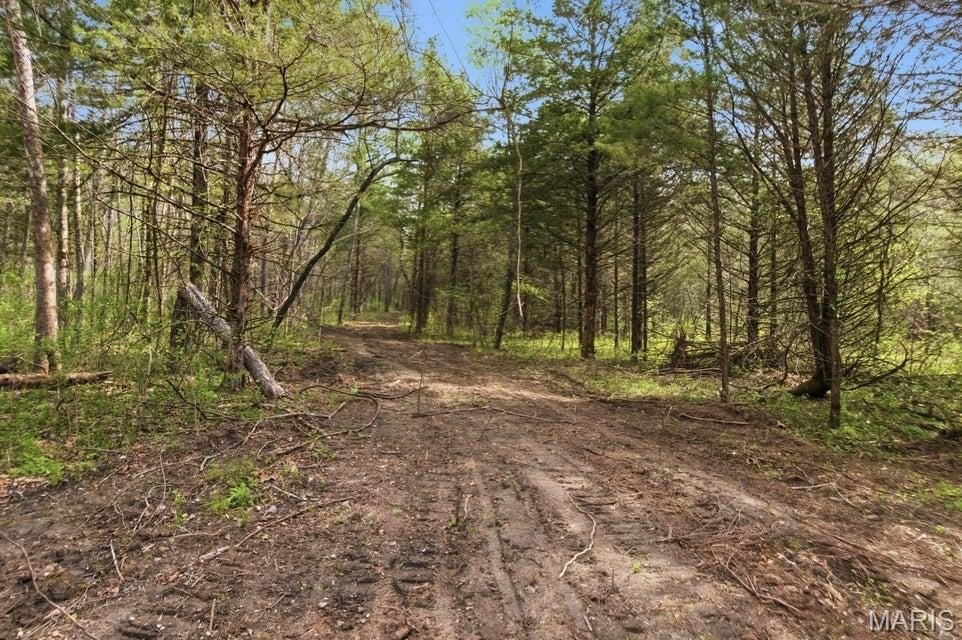 Picture 7