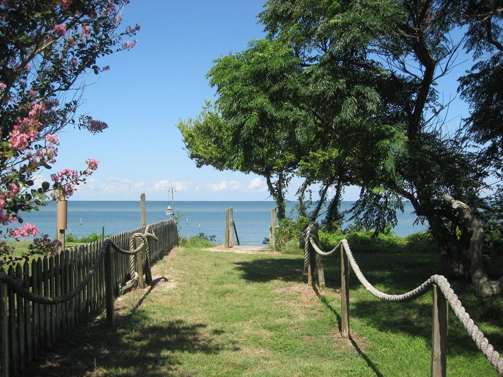 Picture 4