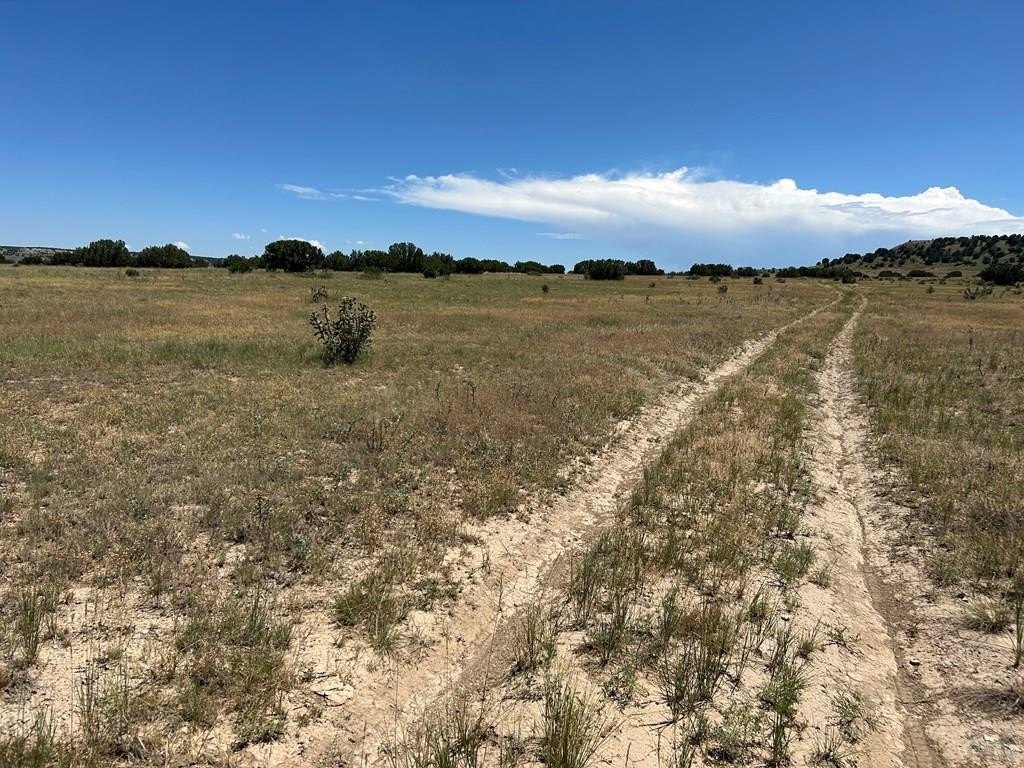 Secluded Land in Longhorn Ranch