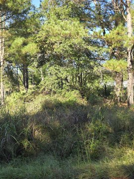 Land, Vance, SC