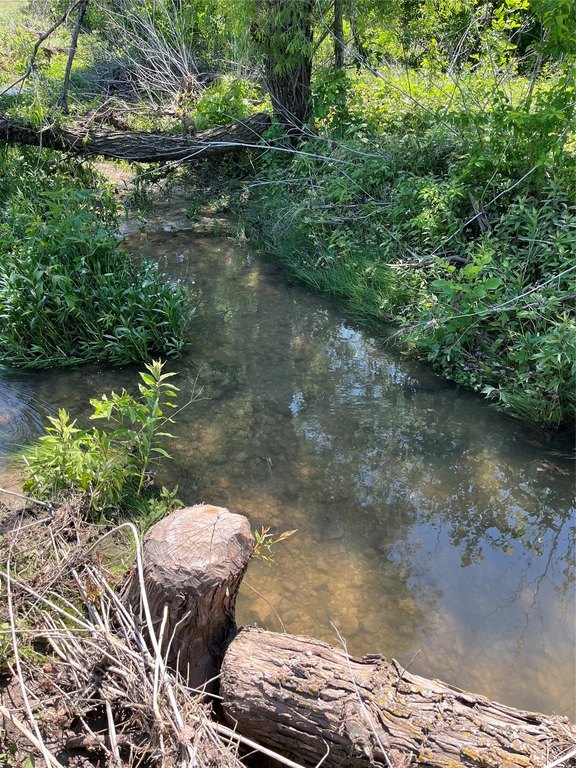 Picture 22