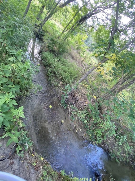 Picture 12