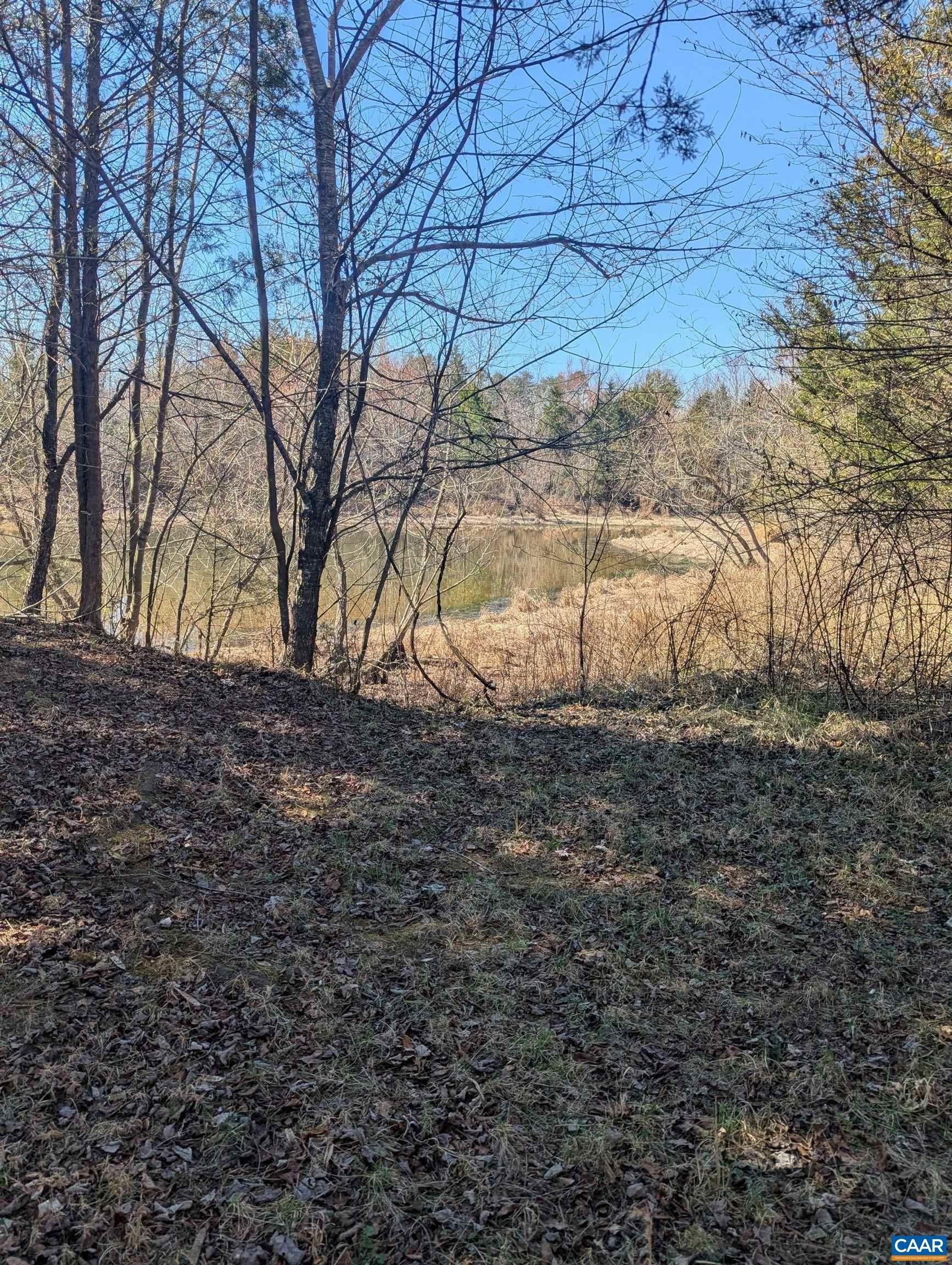 Land Parcel Near Briery Creek