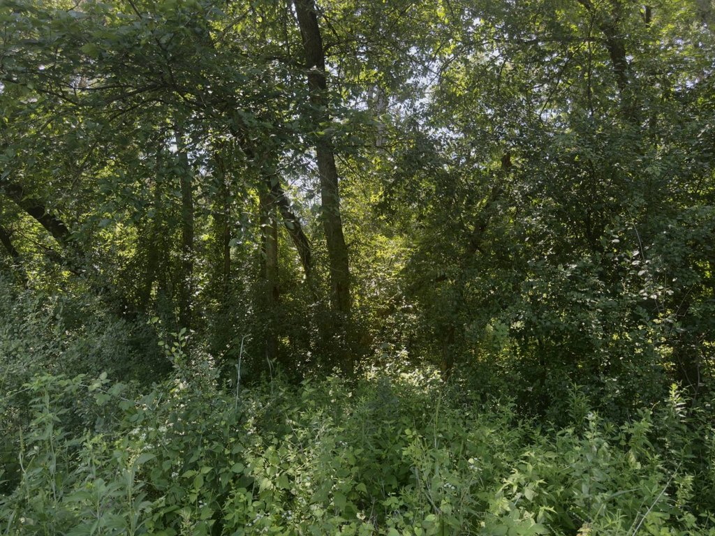 Picture 4
