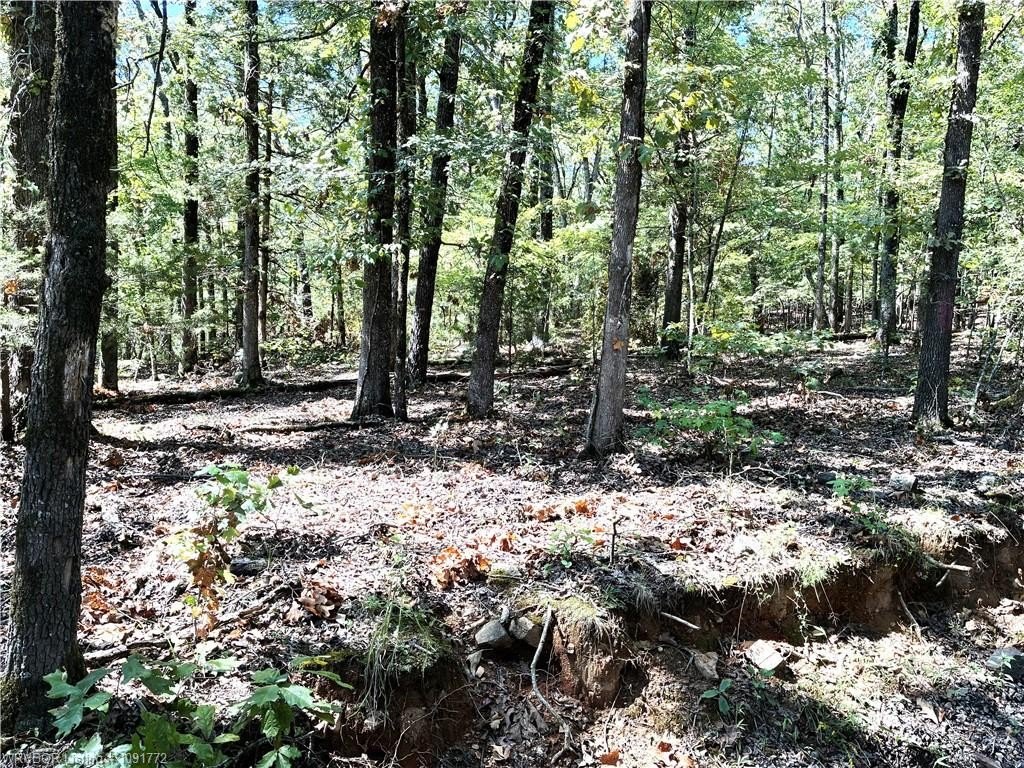 Picture 2
