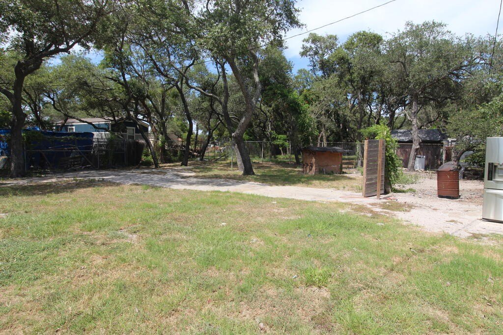 Picture 5