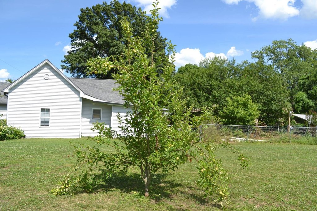 Picture 14