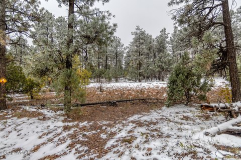 Land Near Show Low Lake