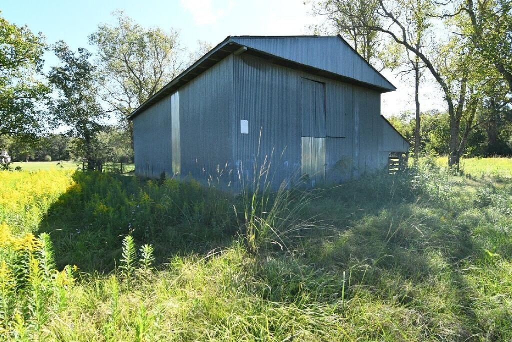 Picture 10