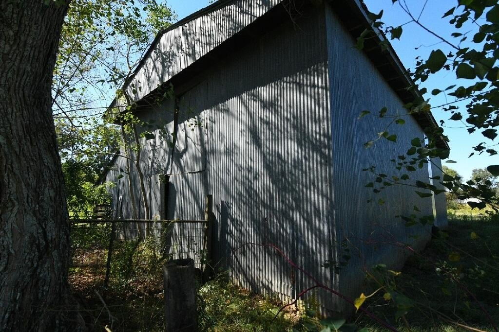 Picture 8