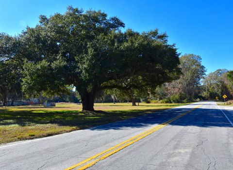 Cleared Land with Marsh Views