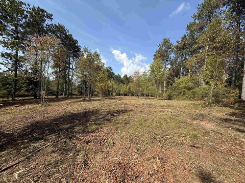 Lakewood Acreage Near Recreation