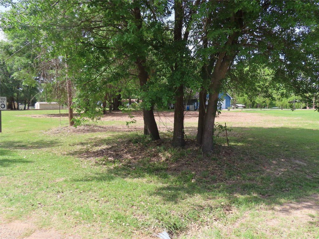 Picture 4
