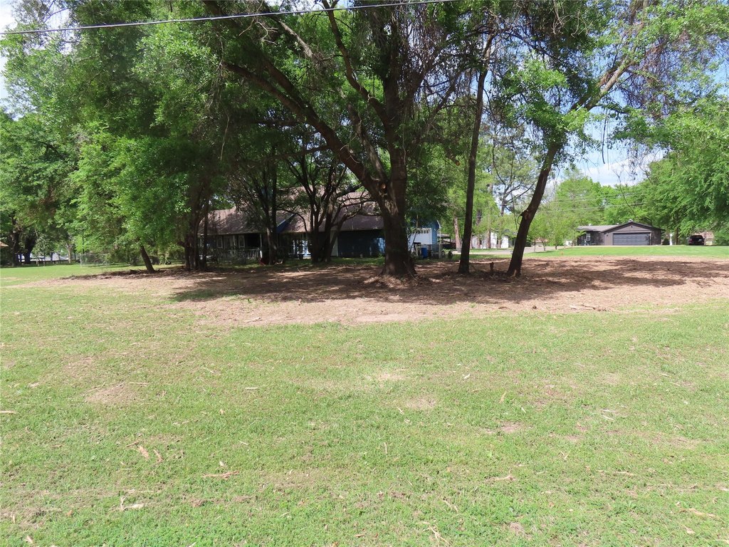 Picture 3
