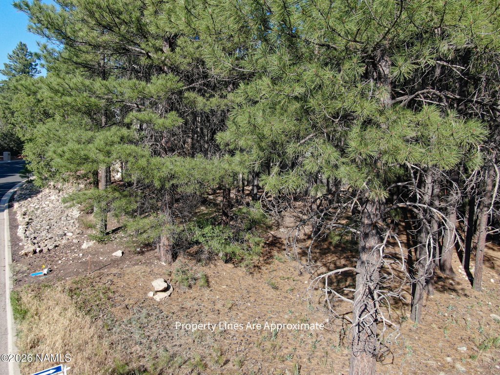 Picture 7