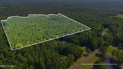 Pine Timber Hunting Land