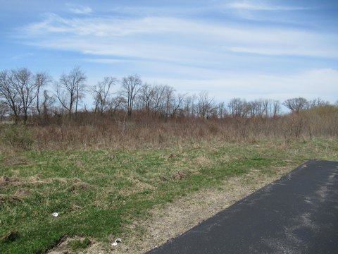 Commercial Land in Cassopolis, MI