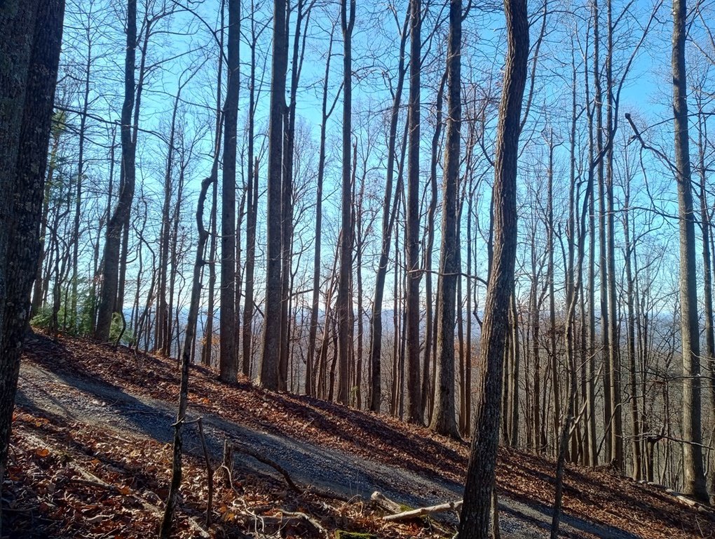 Picture 13