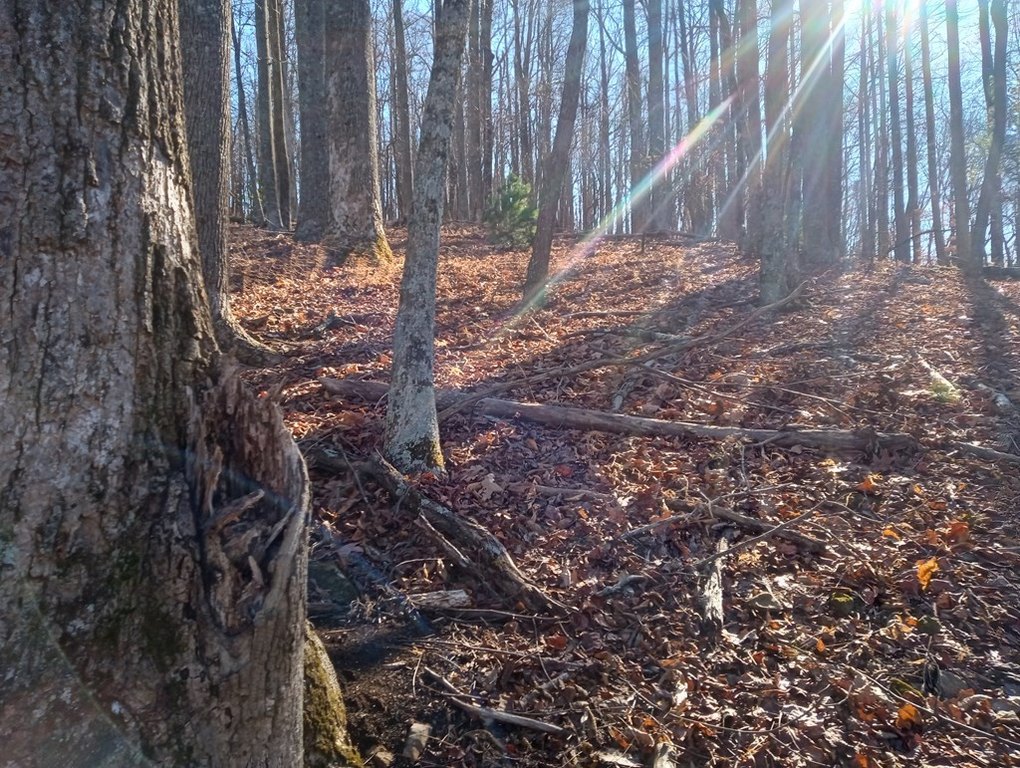 Picture 9