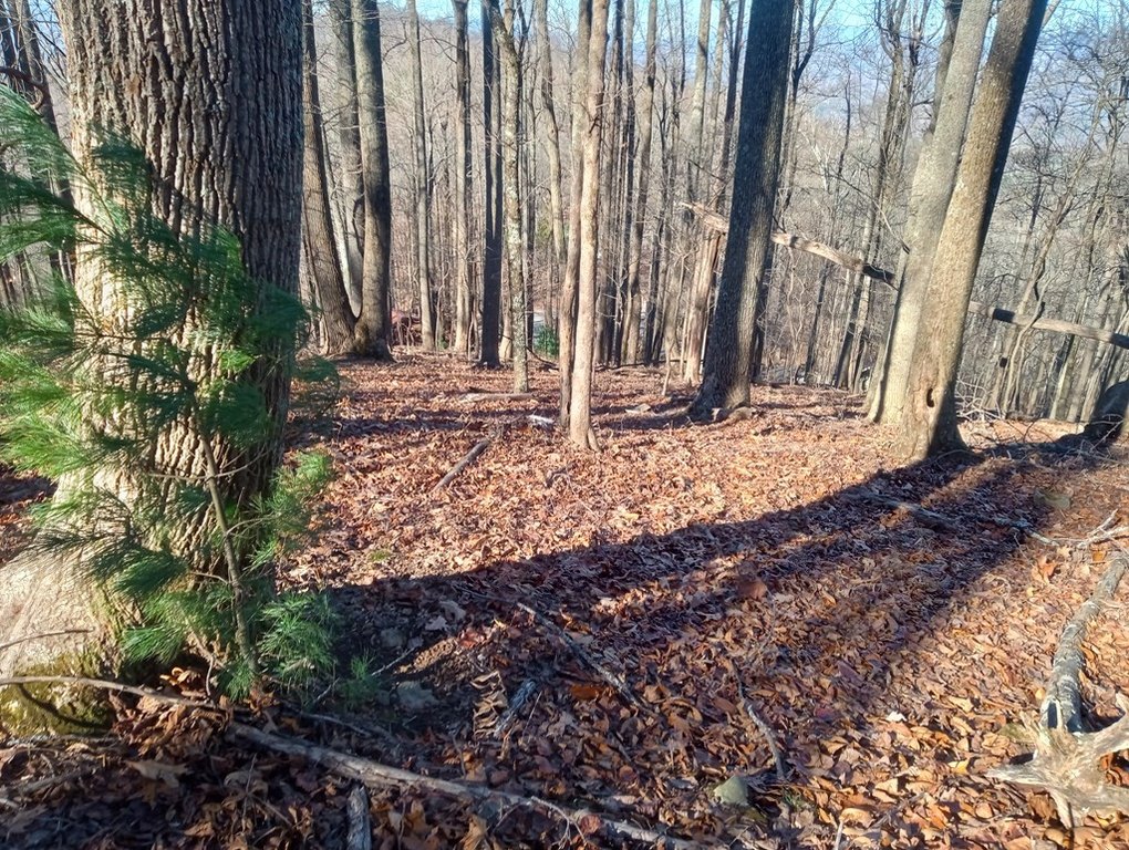 Picture 10