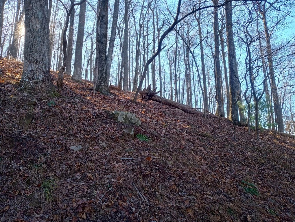 Picture 4