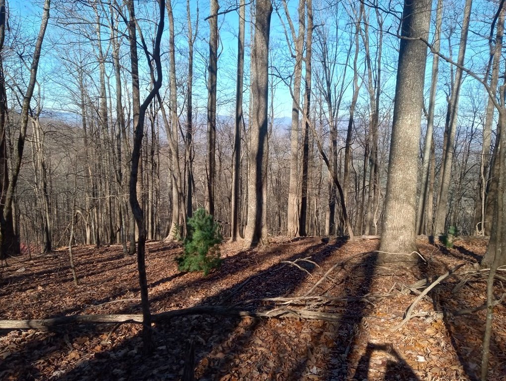 Picture 15