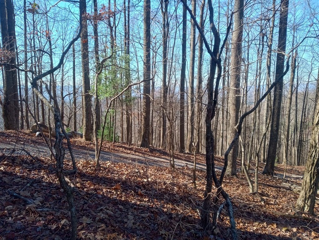 Picture 16