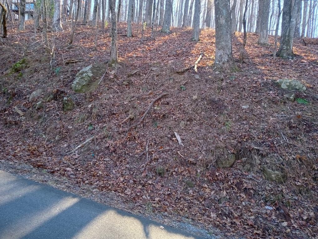 Picture 3