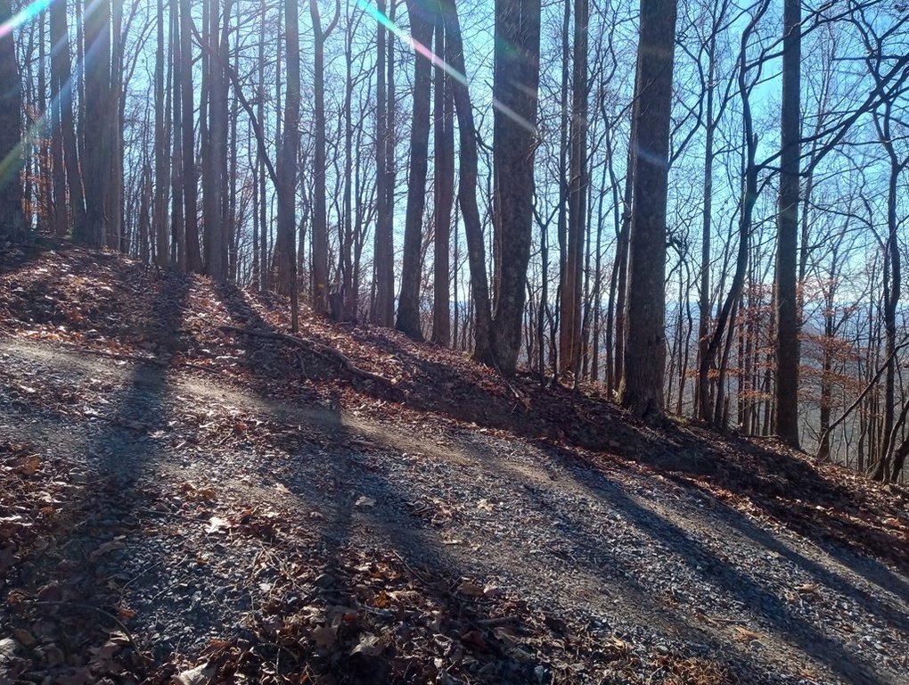 Picture 17