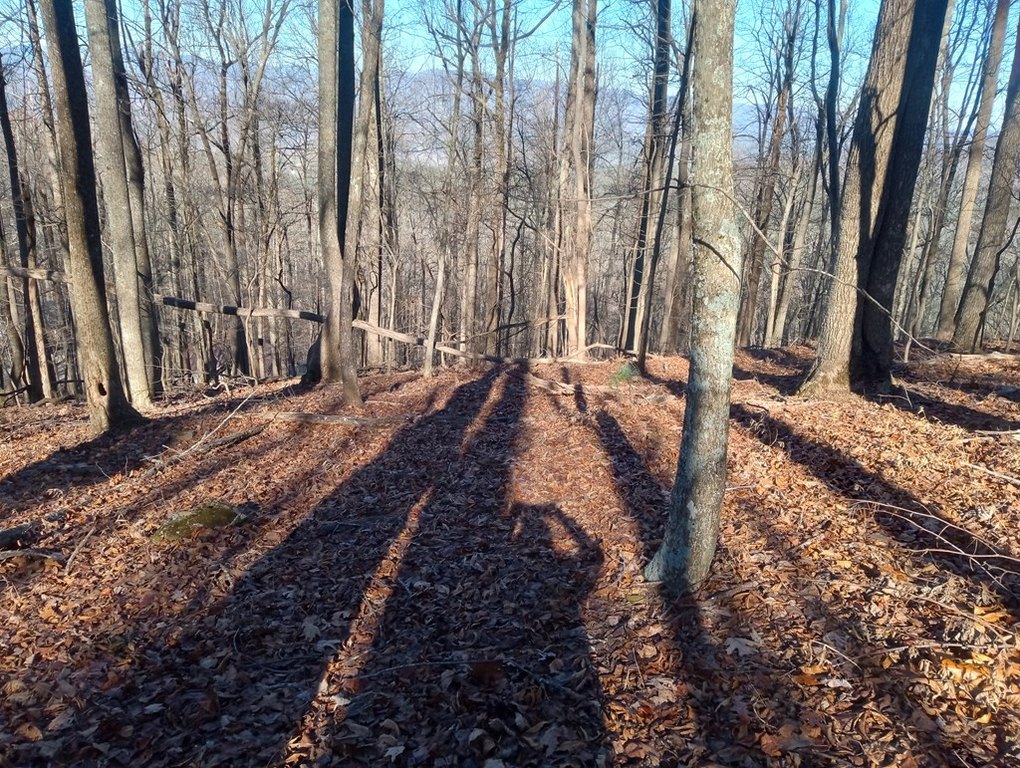 Picture 5