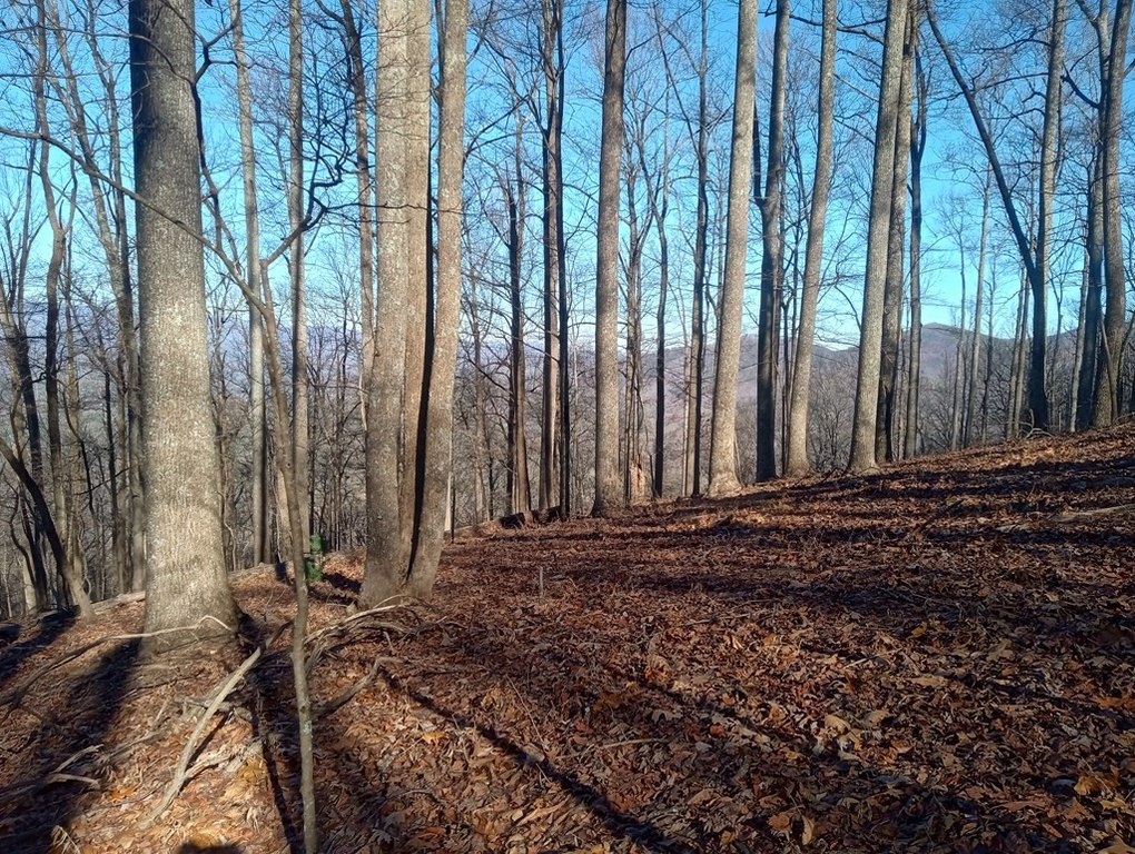 Picture 14
