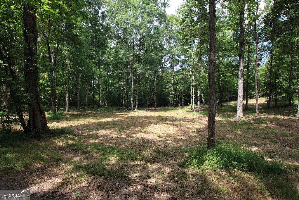 Picture 5