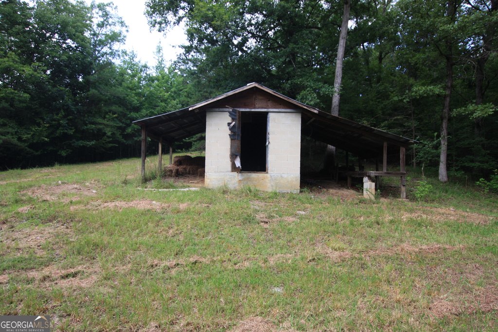 Picture 31
