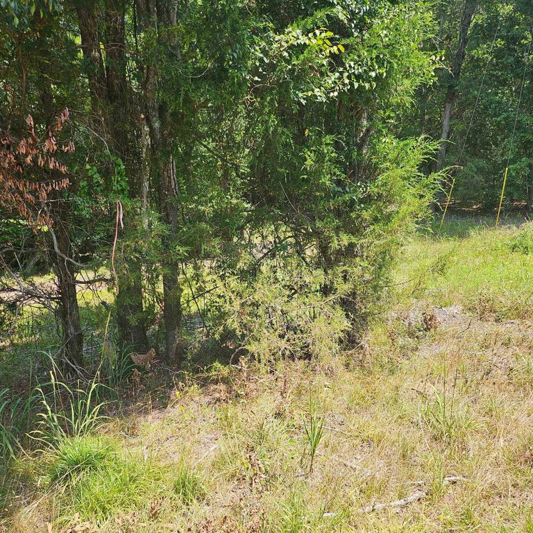 Picture 4